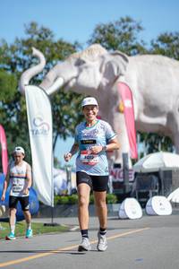 BIB: 
                            <button type="button" onclick="openModal(26544463)" class="btn btn-primary btn-sm float-right btn-popup" data-toggle="modal" data-target=".modal-high-quality">
                        <i class="fas fa-shopping-cart"></i> Add to Cart
                    </button>
                                            <button type="button" onclick="isThisMe(26544463, true)" class="btn btn-success btn-sm float-right btn-popup btn-isme hidden" data-toggle="tooltip" data-placement="bottom" title="นี่คือรูปของคุณใช่ไหม คลิกที่นี่เพื่อเอาเข้าอัลบั้ม">
                        <i class="fas fa-plus"></i> Add to album
                    </button>
                    <button type="button" onclick="isThisMe(26544463, false)" class="btn btn-warning btn-sm float-right btn-popup btn-isnotme hidden">
                        <i class="fas fa-ban"></i> Remove from album
                    </button>